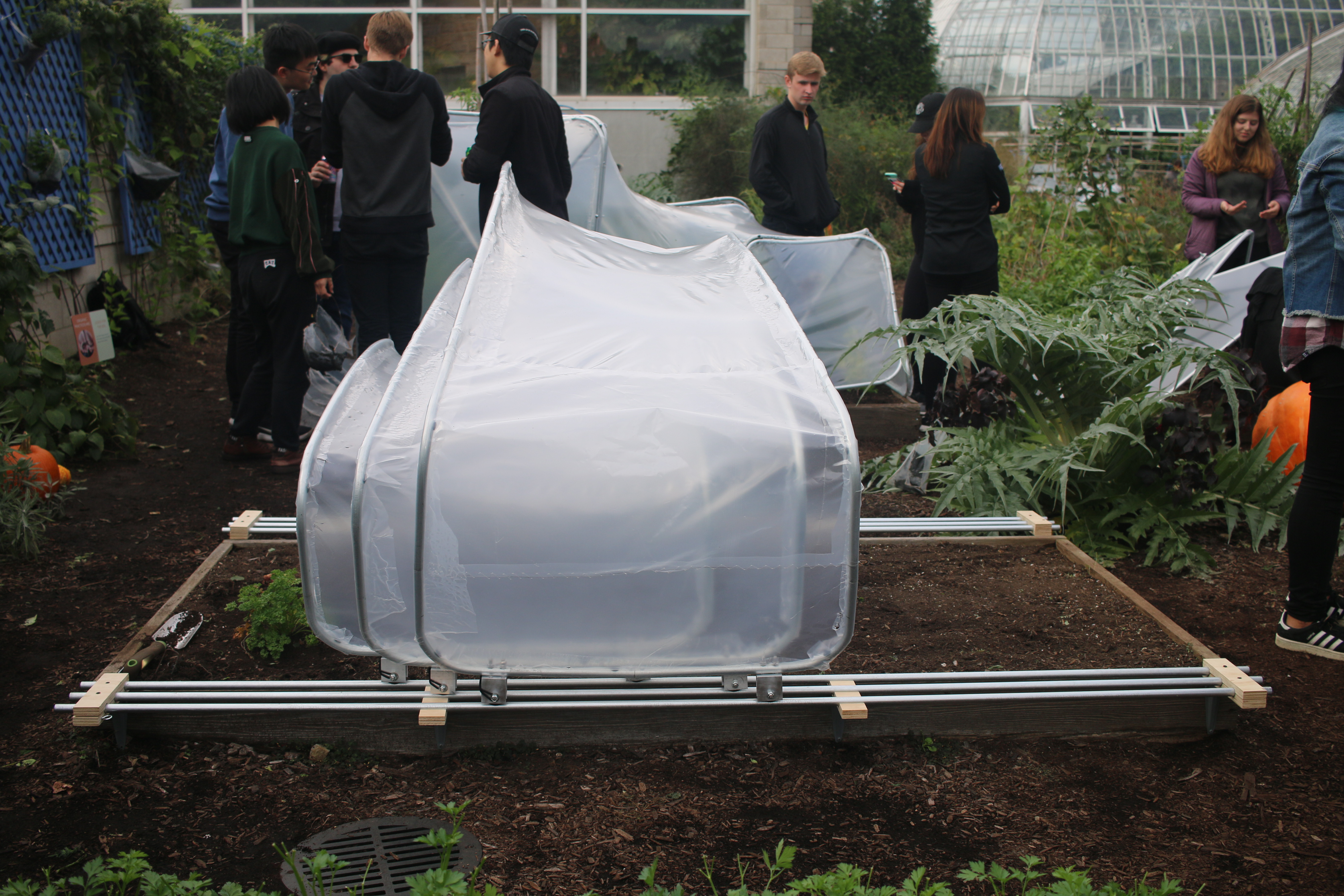 hoop house — IMG_9827
